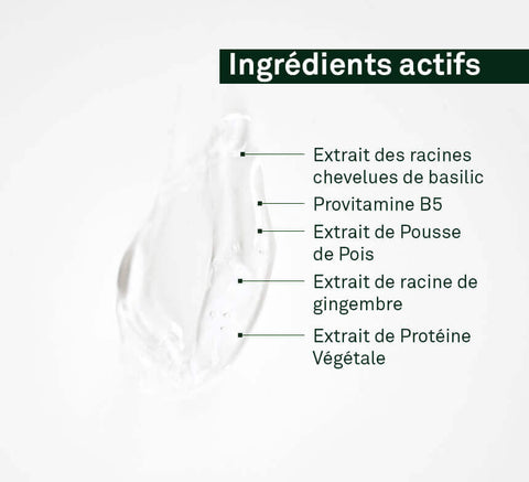Veikliųjų ingredientų diagrama: žirnių daigų, imbiero šaknies, baziliko plaukuotųjų šaknų kultūra, pantenolis, hidrolizuoti augaliniai baltymai.